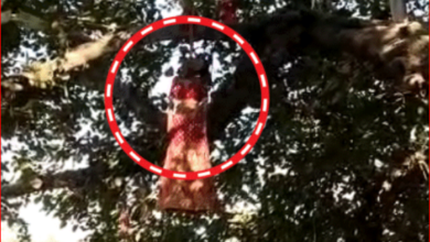 Gave a garland in the evening, the girl's body was found hanging from the noose in the morning